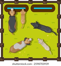 Five dogs lounging in a grassy fenced area