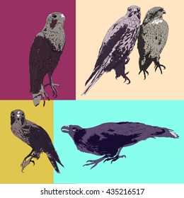Five drawing vector isolated poly predatory birds