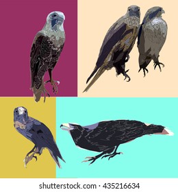 Five drawing vector isolated poly predatory birds