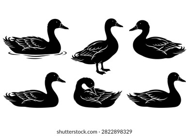 Five ducks swimming and one standing in black and white silhouette style