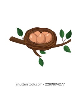 Cinco huevos en nido y ramas aisladas en fondo blanco. ilustración vectorial