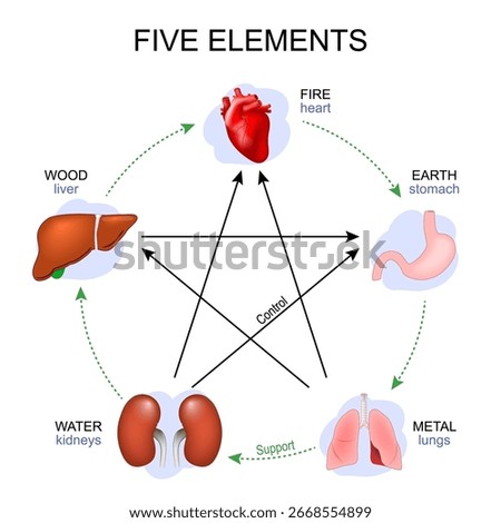 Five element acupuncture. Traditional chinese medicine. Detailed vector poster