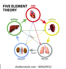 Five Element Theory. Oriental Medicine. The five element theory is used in traditional chinese medicine as a way to diagnose and treat illness.