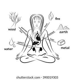 Five elements and human organs