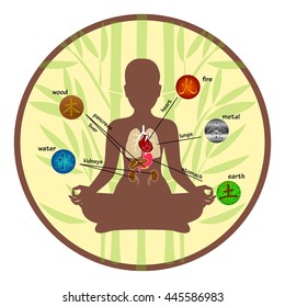 Five elements and human organs
