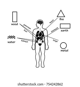 Five elements and human organs. Outline silhouette of man. Vector illustration.