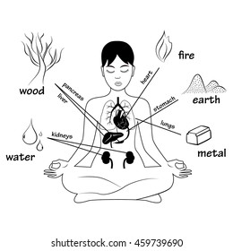 Five elements and human organs. Silhouette of sitting in meditation pose woman