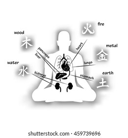 Five elements and human organs. Silhouette of sitting man