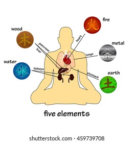 Five elements and human organs. Silhouette of sitting man