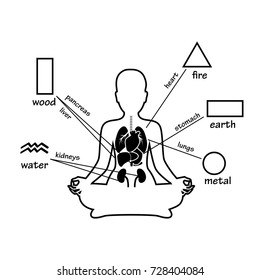 Five elements and human organs. Silhouette of sitting in meditation pose woman.