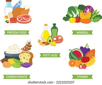 five food group vector illustration