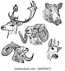 five forest animals vector illustration