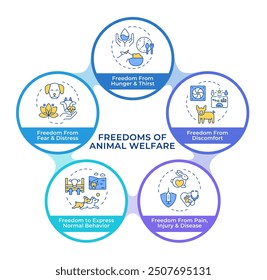 Five freedoms of animals infographic circles flowchart. Welfare, hunger. Agriculture, farming. Visualization diagram with 5 steps. Circular info graphic editable