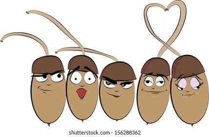 five funny cartoon acorn