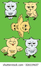 Five funny little owls