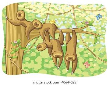 Five funny sloths sleeping on a branch