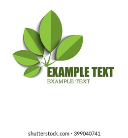 five green leaves on white, eco logo
