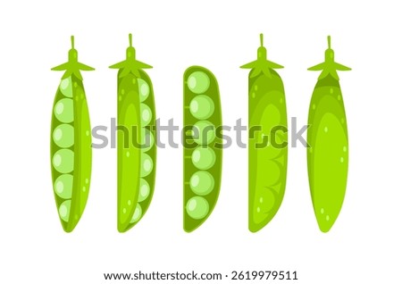 Five green peas in different opening stages showing their seeds