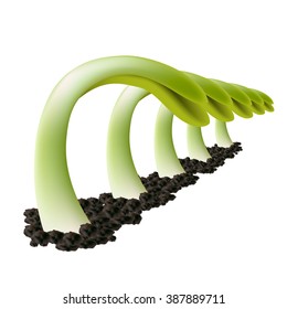 five green sprouts, isolated on white background
