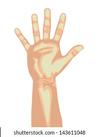 five  hand over white background vector illustration