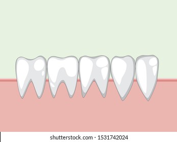 Five healthy molars in a row. A vector color illustration of white teeth for dental clinic