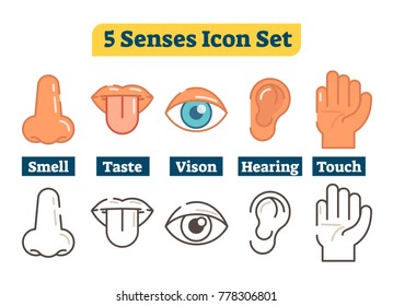 Five human body senses: smell, taste, vision, hearing, touch. Vector flat illustration icons collection with nose, lips, tongue, eye, ear and hand. Color and outline style. 