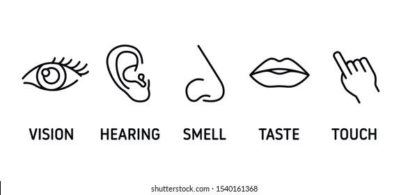 Five human senses black line icons set. Elements: vision, hearing, smell, taste, touch on colorful background. Sign for web page, mobile app, banner, social media. Editable stroke.