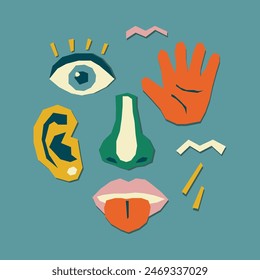 The five human senses. Collage of a human face from pieces of cut paper.Vector stock illustration.