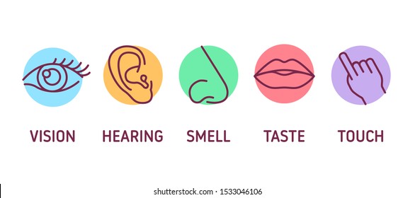 Five human senses color line icons set. Elements: vision, hearing, smell, taste, touch on colorful background. Sign for web page, mobile app, banner, social media. Editable stroke.