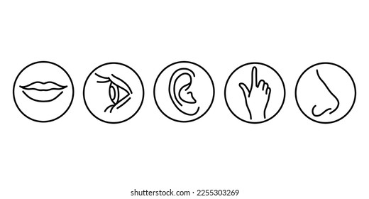 Five human senses color line icons set. Elements: vision, hearing, smell, taste, touch