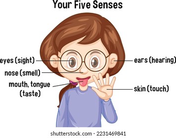 Ejemplo conceptual de cinco sentidos humanos