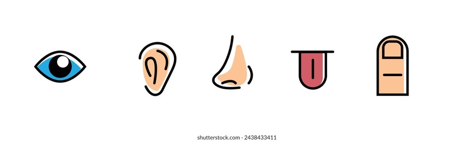 Five Human Senses Concept Vector Icons Set. Human biology and body parts concept vector