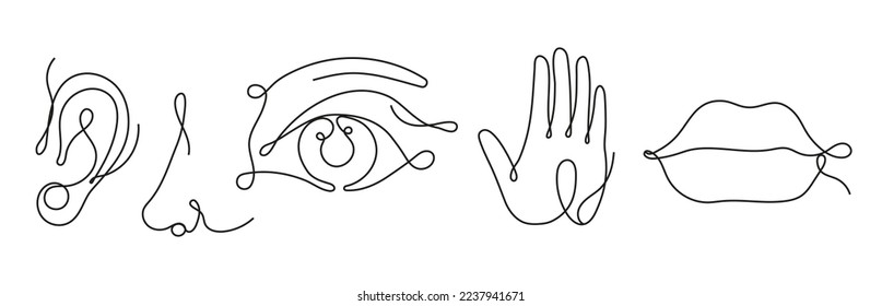 Five human senses in continuous line style. Ear line art icon. Nose and smelling. Mouth, lips outline. Eyes with brow in hand drawn style. Hand, arm linear illustration.