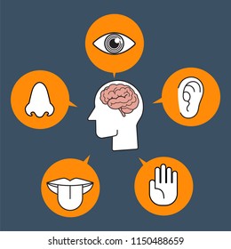 Five human senses demonstration color icon vector illustration collection set on dark blue background