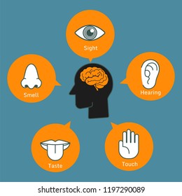 Five human senses demonstration color icon vector illustration collection set on green background