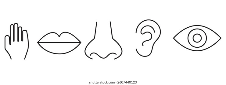 Five human senses editable stroke outline icons set isolated on white background flat vector illustration. Pixel perfect.