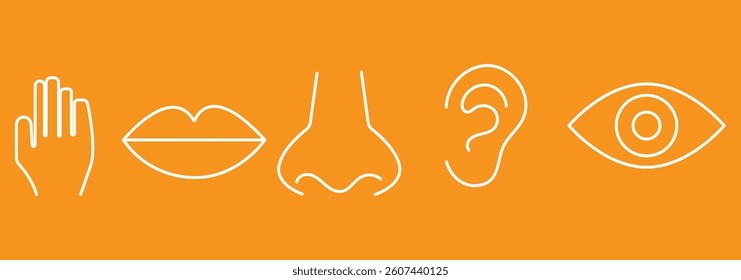 Five human senses editable stroke outline icons set isolated on white background flat vector illustration. Pixel perfect.