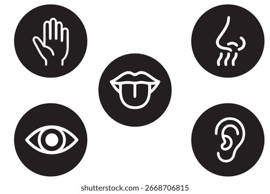 Cinco sentidos humanos editable iconos de contorno de trazo conjunto aislado en Ilustración vectorial plana de fondo blanco.