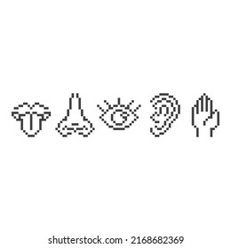 Five human senses. Elements taste, smell, vision, hear, touch . Pixel art line icon vector illustration