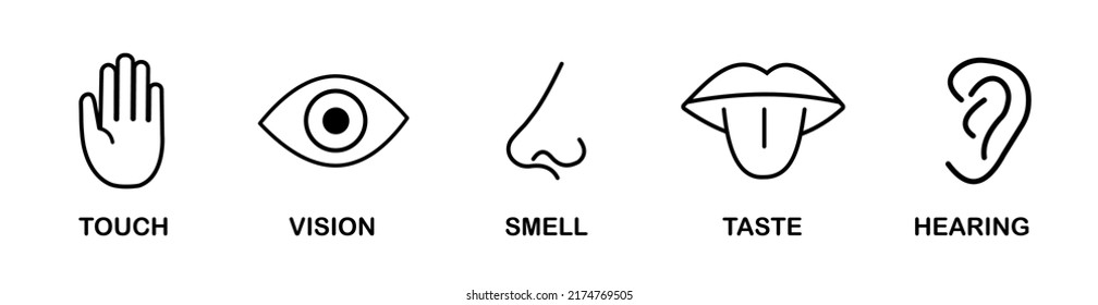 Five human senses flat vector icon set. Vision, hearing, taste, smell, touch.  Stock Vector EPS
