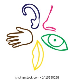 five human senses hand drawings, colorful  illustration, vector art 