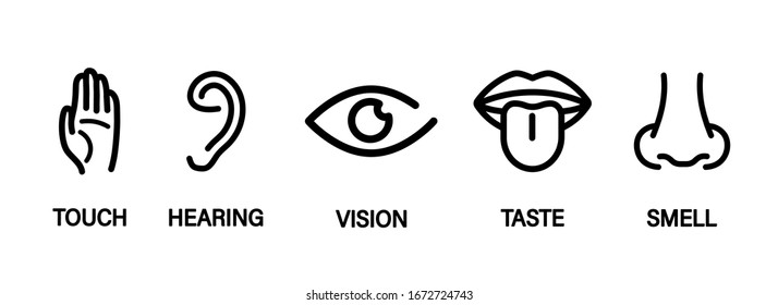 Five human senses: Hearing, Sight, Smell, Taste and Touch. Simple line icons and color circles eye, nose, ear, mouth with tongue, hand. Human perception scheme. Five senses. Basic 5 human senses