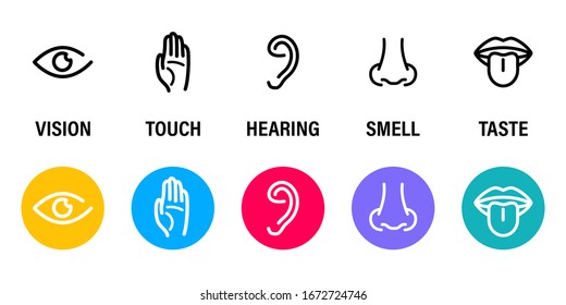 Five human senses: Hearing, Sight, Smell, Taste and Touch. Simple line icons and color circles eye, nose, ear, mouth with tongue, hand. Human perception scheme. Five senses. Basic 5 human senses