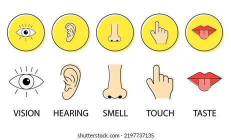 Five human senses: Hearing, Sight, Smell, Taste and Touch. Simple line icons and color circles eye, nose, ear, mouth with tongue, hand. Human perception scheme. Five senses.