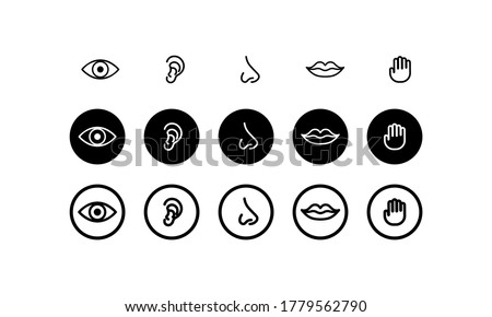 Five human senses. Hearing, smell, sight, taste and touch. Vector on isolated white background. EPS 10