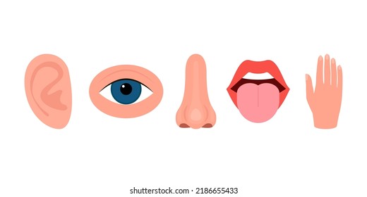 Five human senses. Hearing, vision, smell, taste, touch. Perception with help ear, eye, nose, mouth and tongue, hand. Vector illustration