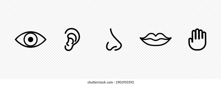 Five human senses icon set. Eye, nose, ear, hand, mouth with tongue sign. Sight, smell, hearing, touch, taste concept. Vector on isolated transparent background. EPS 10