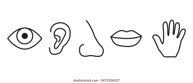 Fünf menschliche Sinne - Symbolsatz. Auge, Nase, Ohr, Hand, Mund mit Zungenzeichen. Sehen, Riechen, Hören, Berühren, Geschmackskonzept. Vektorgrafik auf isoliertem weißen Hintergrund