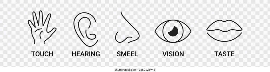 Five Human Senses Icons | Editable Stroke Outline Design