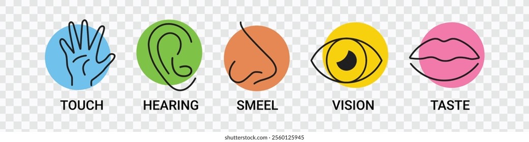 Five Human Senses Icons | Editable Stroke Outline Design